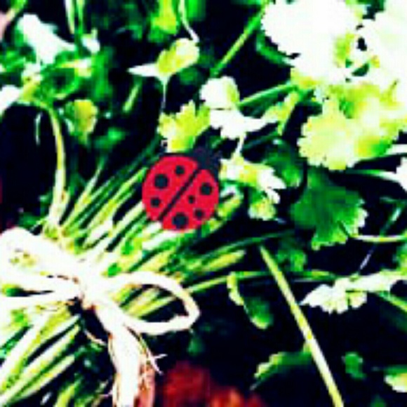 Meet your Posher, Ana. - Picture 1 of 1